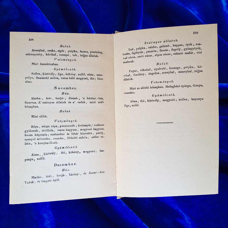 Ungarisches Kochbuch von Czifray mit aufgeschlagenen Seiten und historischen ungarischen Rezepten.