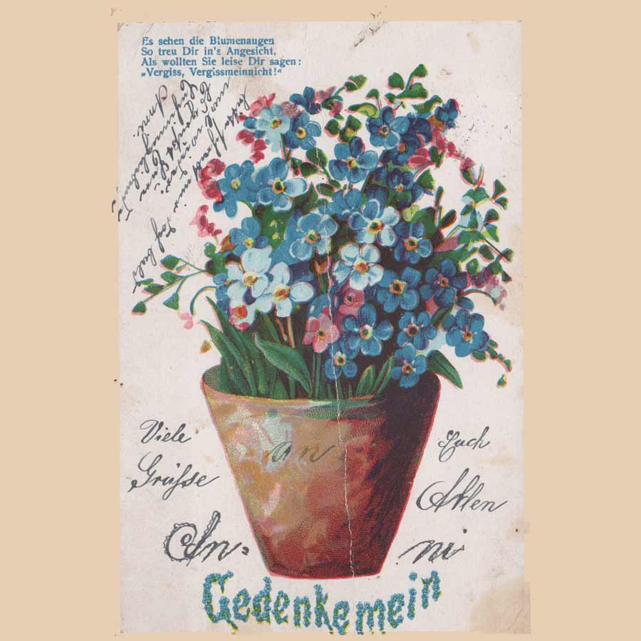 Alte Glückwunschkarte von 1907 aus Varel nach Neuenburgerfeld bei Neuenburg mit Vergissmeinnicht und historischem Gruß.