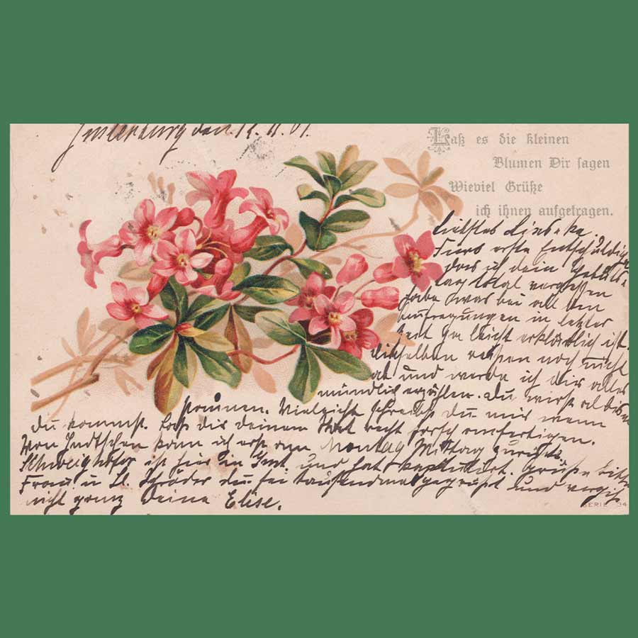 Alte Glückwunschkarte aus Königsberg in Preußen mit roten Blumen und historischem Gruß aus der Kaiserzeit.
