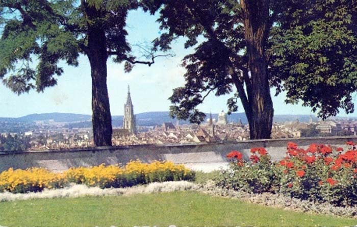 36 alte Ansichtskarten – USA-Konvolut mit internationalen Motiven