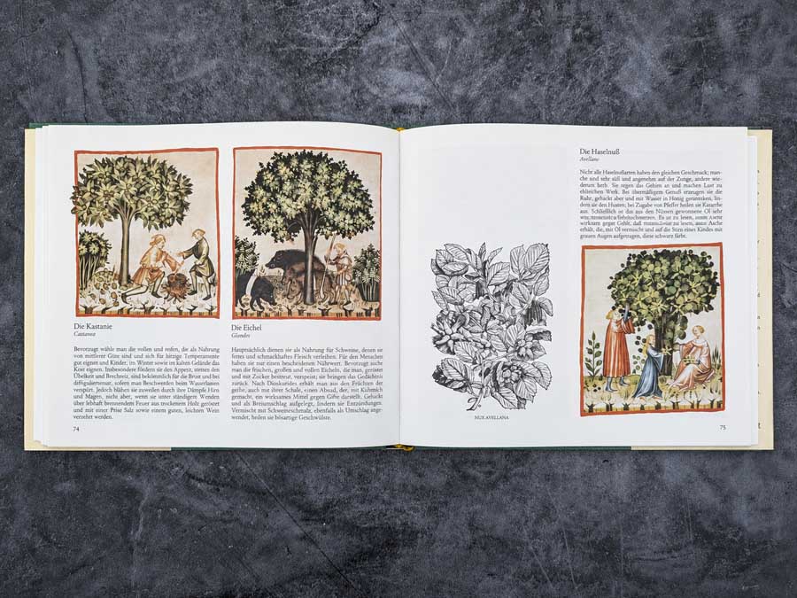 Von der gesunden Lebensweise – aufgeschlagenes Buch mit Kastanie, Eichel und Haselnuss sowie mittelalterlichen Illustrationen